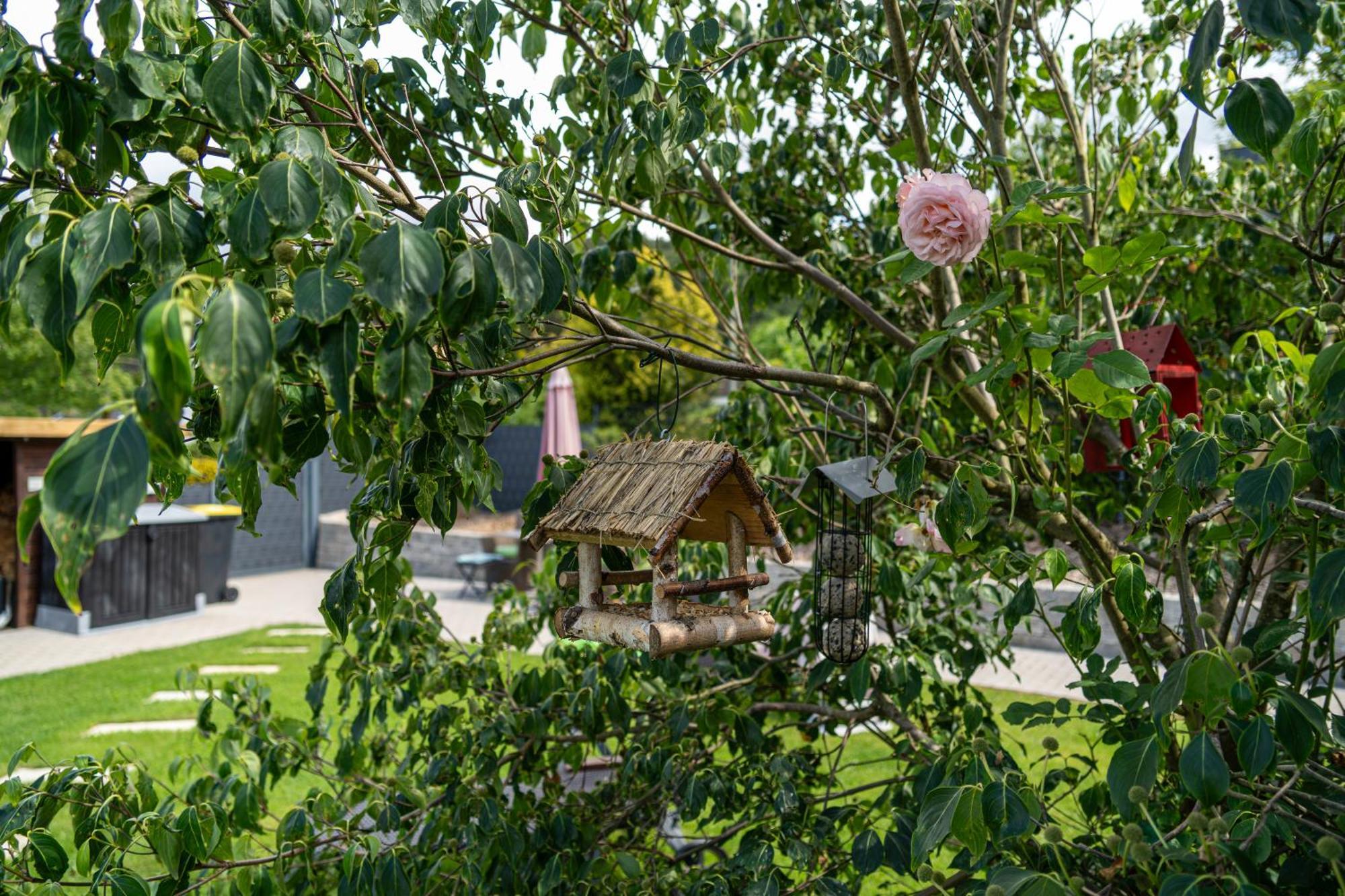 Wolke Siegen Apartment Екстериор снимка